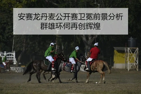 an-sai-long-dan-mai-gong-kai-sai-wei-mian-qian-jing-fen-xi-qun-xiong-huan-si-zai-chuang-hui-huang-2-436.jpg